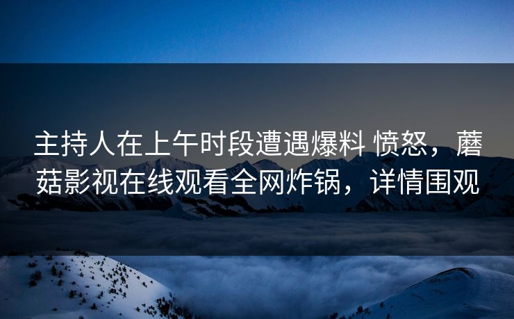 主持人在上午时段遭遇爆料 愤怒,蘑菇影视在线观看全网炸锅,详情围观 主持人在上午时段遭遇爆料 愤怒,蘑菇影视在线观看全网炸锅,详情围观